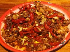 -柴窝堡22号辣子鸡·传承新疆菜