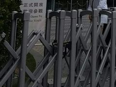 -凤凰中心