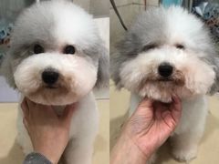 -瑞鹏瑞爱宠物医院·全科·猫科·血液透析中心(龙头寺店)