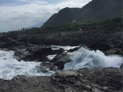 -龙坑生态保护区