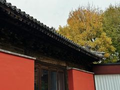 -嵩祝寺及智珠寺