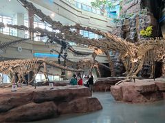 -安徽省地质博物馆