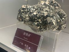 -甘肃地质博物馆