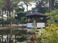 -深圳国际园林花卉博览园