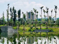 -枫香湖儿童公园