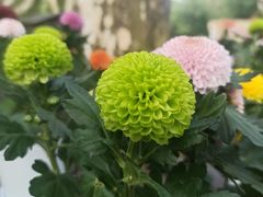 -共青国家森林公园-售票处