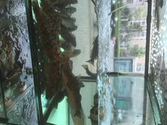 小芳海鲜厅-合家小菜餐馆(新诚花苑店)