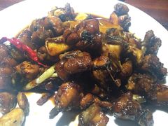 绿茶(华联万柳店)-绿茶餐厅(华联万柳店)