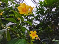 -南山植物园