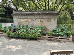 -上海醉白池公园