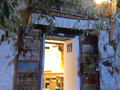 门面-古树酸奶(八廓南街店)