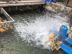 -京北渔家傲