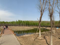 -东郊湿地公园