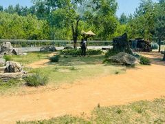 -秦皇岛野生动物园