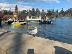 -Patagonia Chocolates(皇后镇店)