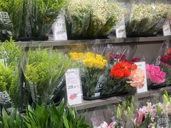 -鹿岛生活(熙地港店)