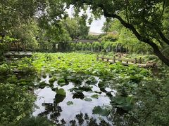 -上海醉白池公园