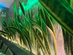 -范儿·嫂子烤肉·精致炭火烤肉(长治路店)