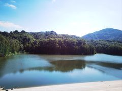 -阳台山森林公园