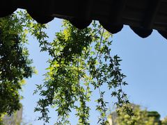 -南京民俗博物馆(甘熙故居)