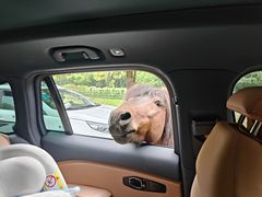 -常州淹城野生动物世界