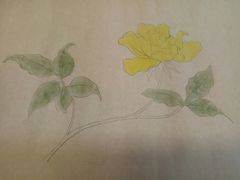 -谷隆画舍·国画书法素描彩铅水彩