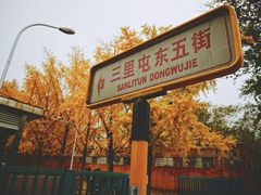 -三里屯东五街银杏大道