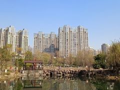 -洋湖国家湿地公园
