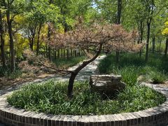 -天津东丽湖风景区