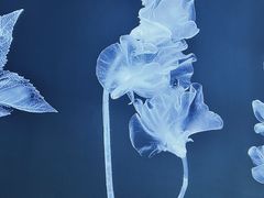 -时代美术馆-成都馆