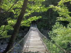 -龙道沟景区