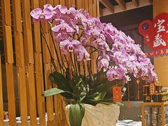 -若蘭慈·无国界素食料理(欢乐海岸店)