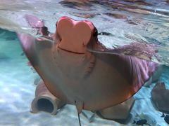 -沈阳海洋探索中心