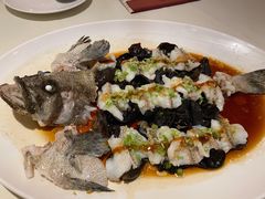 石锅古法蒸老虎斑-利苑酒家(华熙国际店)