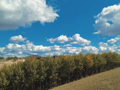 -塞罕坝国家级自然保护区