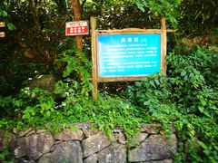 -白云源风景区
