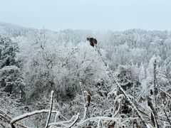 -庐山风景名胜区
