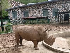 -哈尔滨北方森林动物园