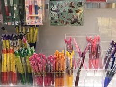 -Bic Camera (难波店)