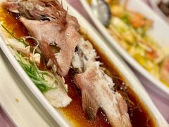 清蒸东星斑-顺风海鲜港(金玉兰店)