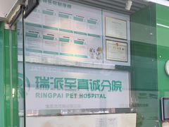 -瑞派动物医院·猫专科·至诚(江南中分院)