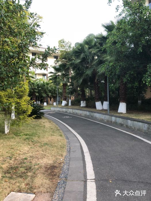 西昌邛海湾柏樾酒店(原邛海湾柏栎度假酒店)图片