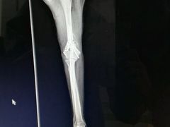 -骐奇宠物诊疗中心(南亭公路店)