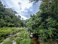 -海南热带雨林国家公园吊罗山景区