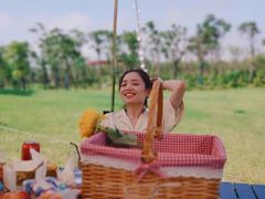 -春花秋色城市公园