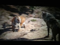 -大商影城(新玛特店)