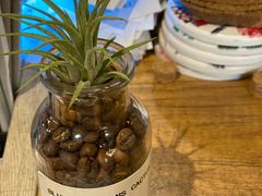 -ZING COFFEE 镜咖啡