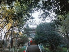 -峙山公园