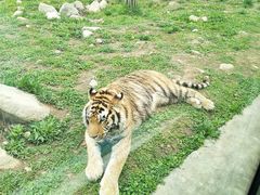 -西安秦岭野生动物园