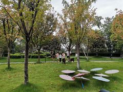 -成都安仁福朋喜来登酒店